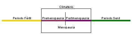 La menopausia en etapas